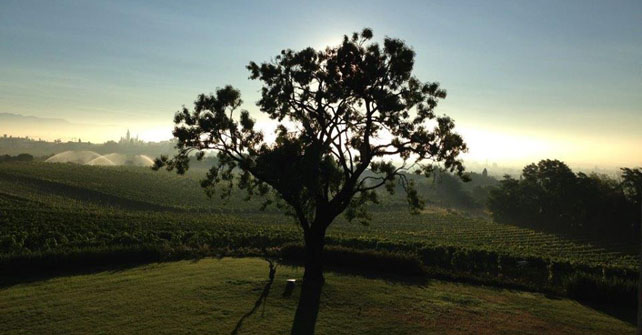 VINI Col del Vento presso Saperi e Sapori