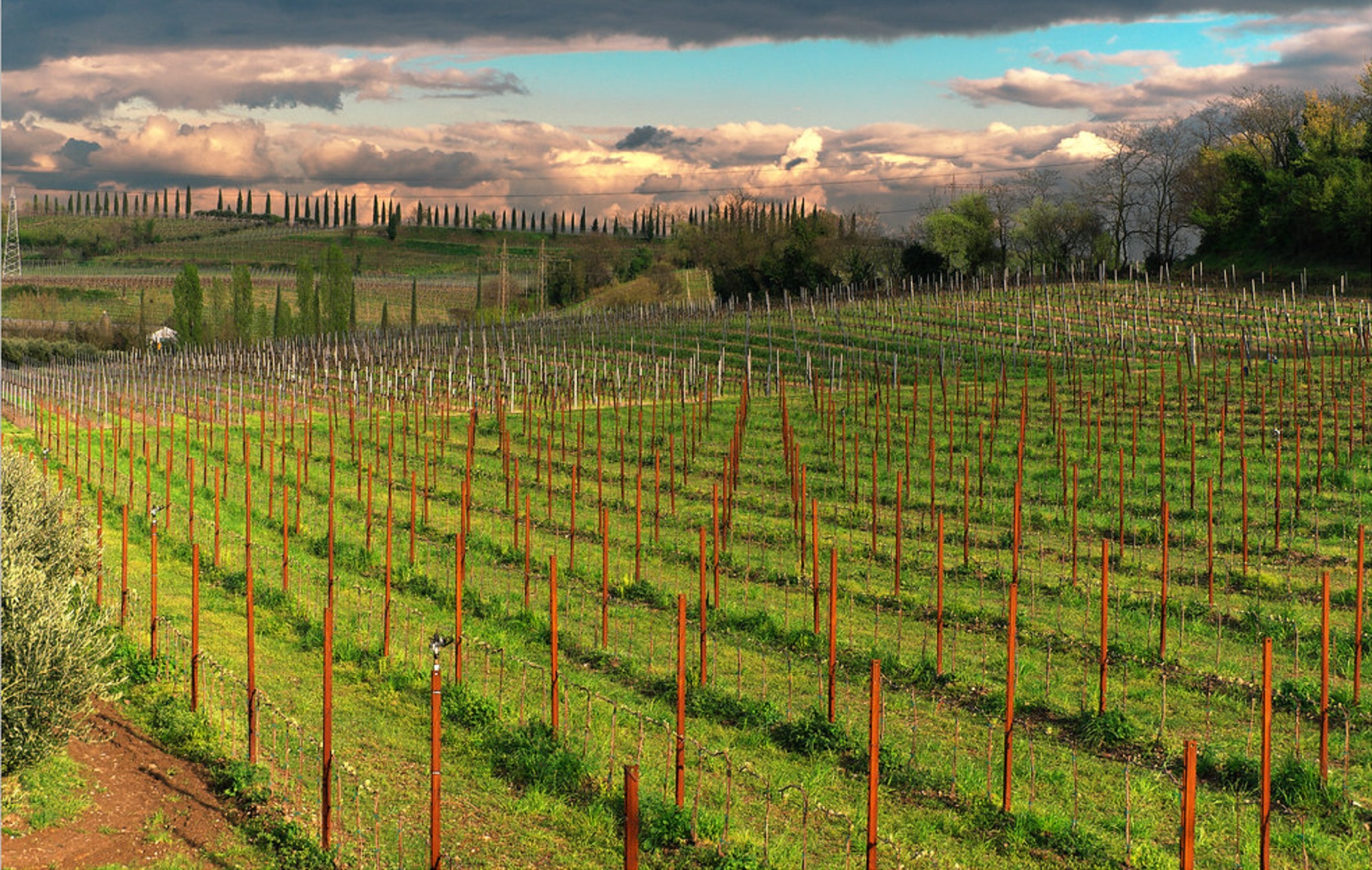 A SPASSO SULLE COLLINE DI CUSTOZA