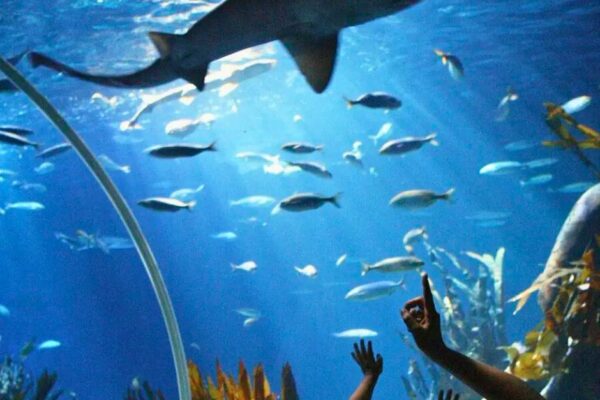 DB Hotel post FACEBOOK (3)